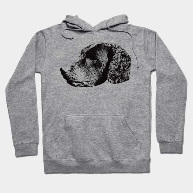 Curly Coated Retriever gift for Retriever Owners Hoodie by DoggyStyles